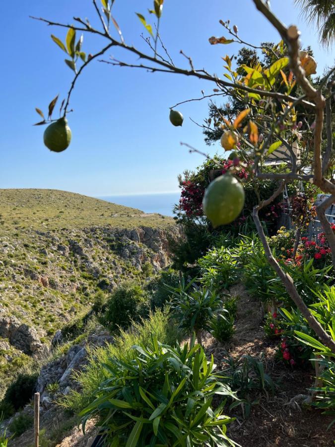Baglio Cracchiolo Da Tuzzo - Casa Il Limone Lejlighed San Vito Lo Capo Eksteriør billede